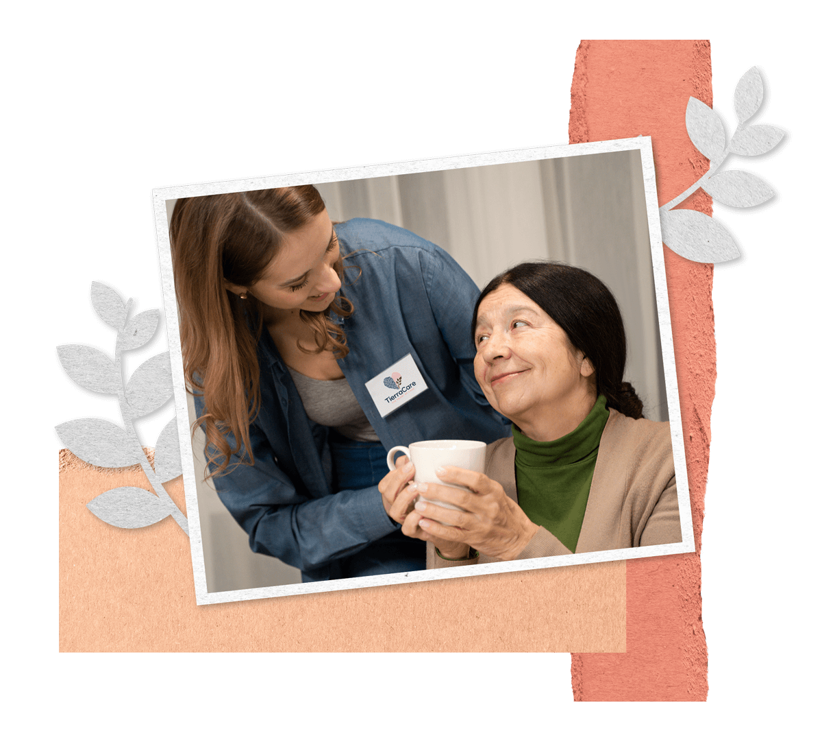 Care Services